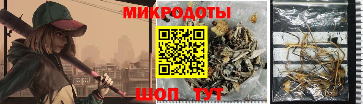 Воронеж  Псилоцибиновые грибы прущие грибы  Вход с VPN  Псилоцибиновые грибы прущие грибы 